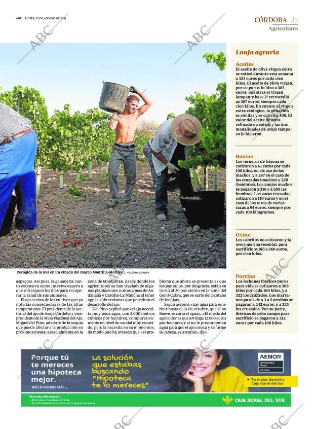 ABC CORDOBA 23-08-2021 página 23