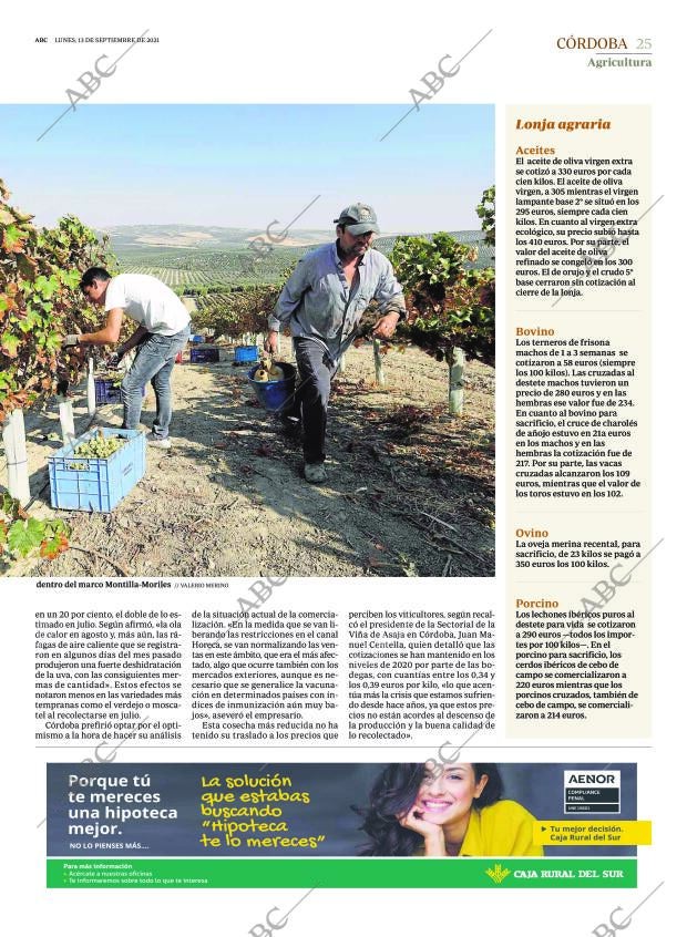 ABC CORDOBA 13-09-2021 página 25
