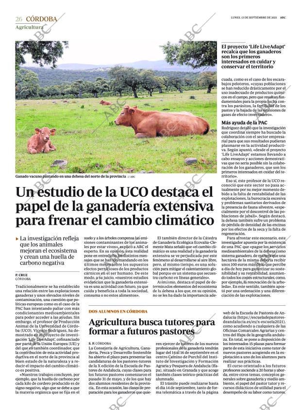 ABC CORDOBA 13-09-2021 página 26