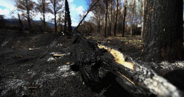 Reportaje de los pueblos Sotalbo y Solosancho, en la Sierra de los Baldíos,...