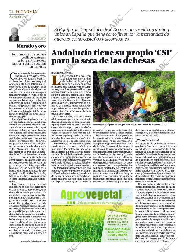 ABC SEVILLA 27-09-2021 página 74