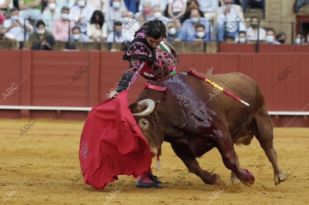 Corrida de toros de la Feria de San Miguel, celebrada en La Maestranza, para los...