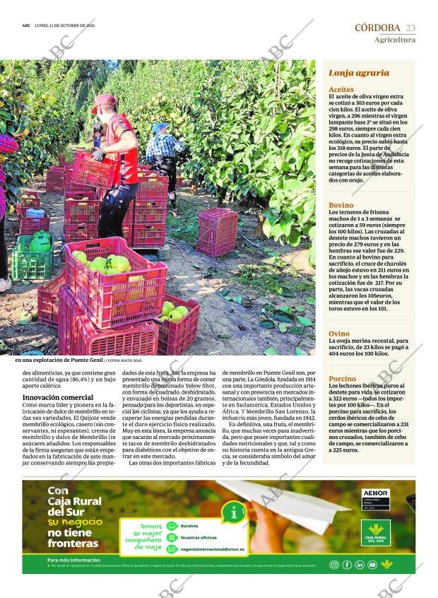 ABC CORDOBA 11-10-2021 página 23