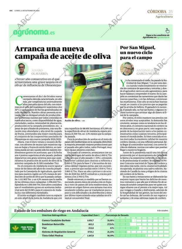 ABC CORDOBA 11-10-2021 página 25