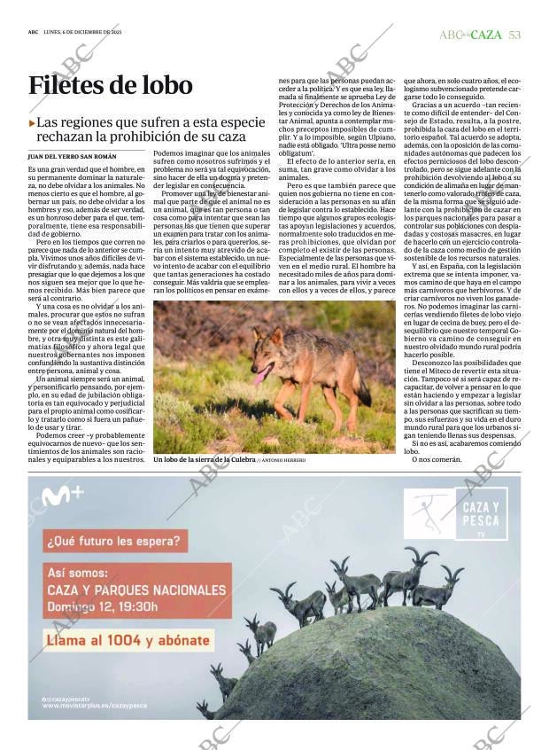 ABC SEVILLA 06-12-2021 página 53