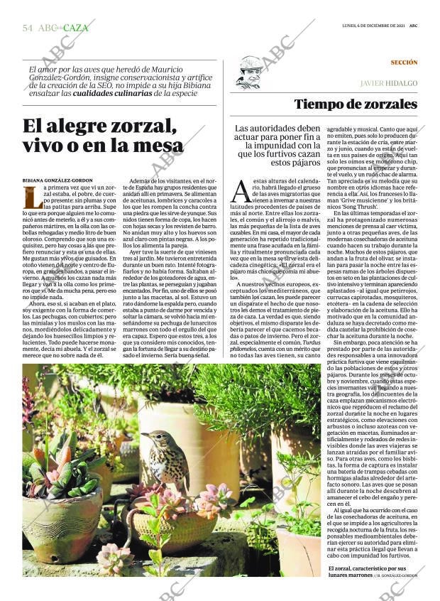 ABC SEVILLA 06-12-2021 página 54