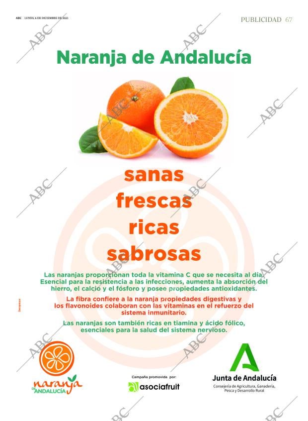 ABC SEVILLA 06-12-2021 página 67