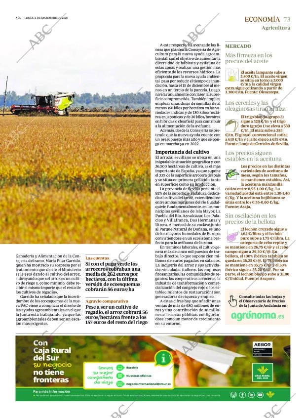 ABC SEVILLA 06-12-2021 página 73
