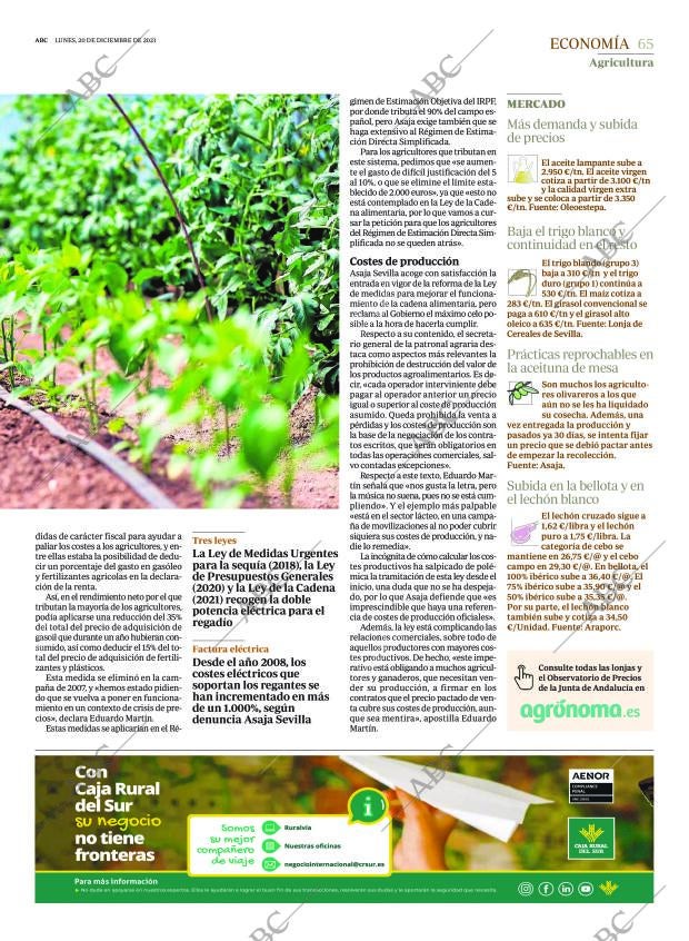 ABC SEVILLA 20-12-2021 página 65