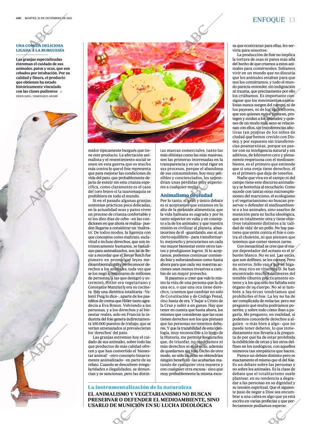 ABC SEVILLA 21-12-2021 página 13