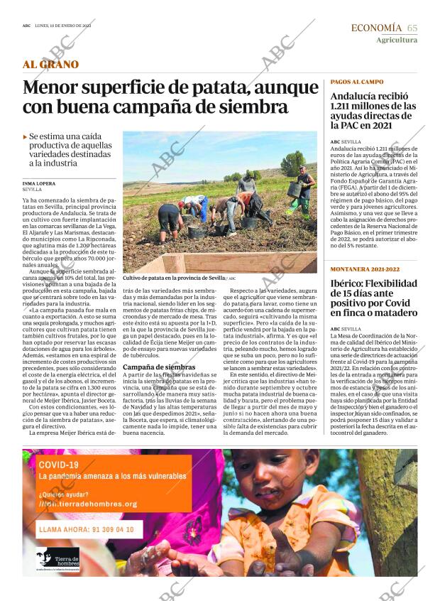 ABC SEVILLA 10-01-2022 página 65
