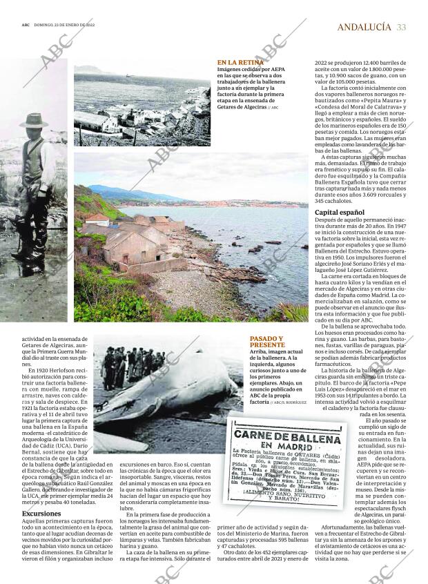 ABC SEVILLA 23-01-2022 página 33