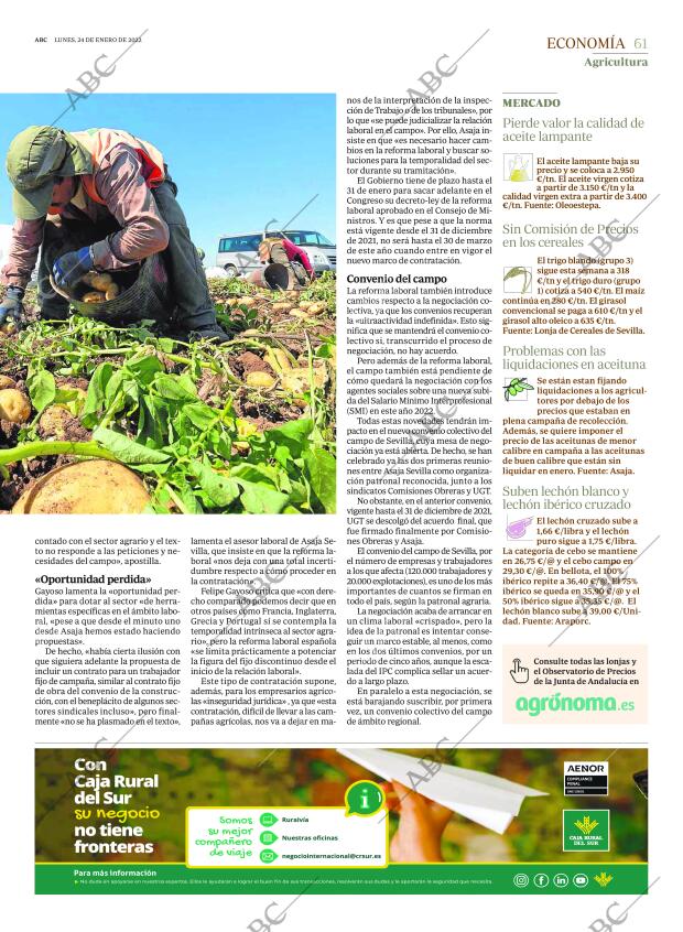 ABC SEVILLA 24-01-2022 página 61