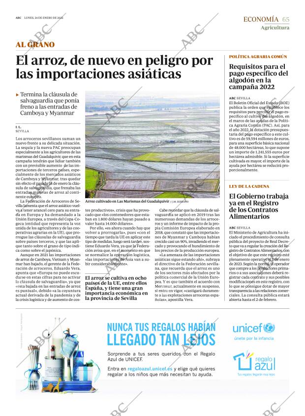 ABC SEVILLA 24-01-2022 página 65