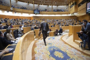 El presidente del Gobierno Pedro Sánchez asiste a la sesión de control al...