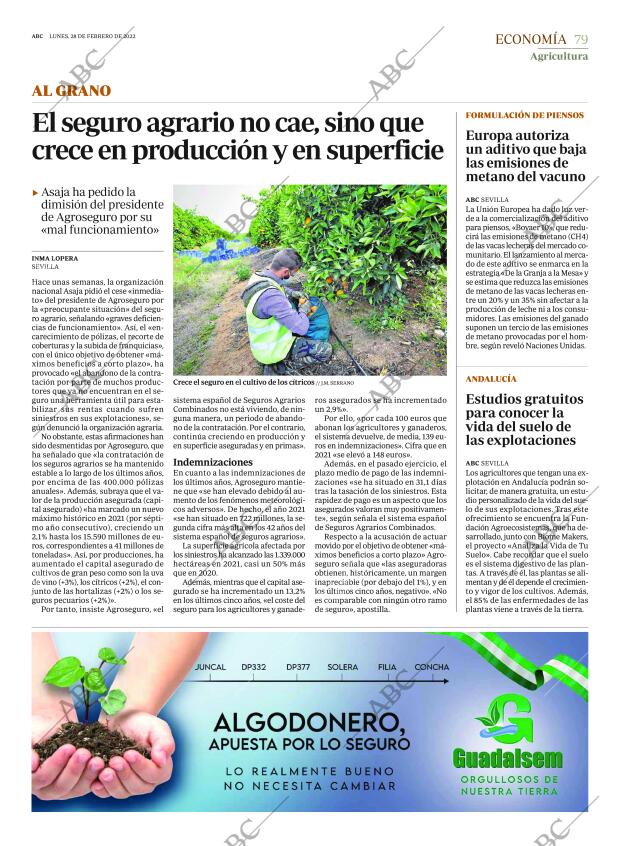 ABC SEVILLA 28-02-2022 página 79