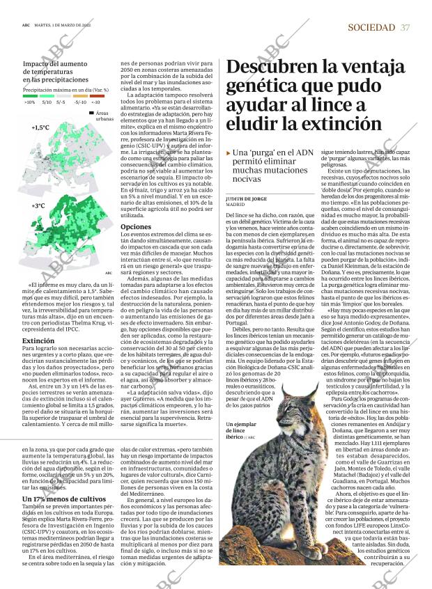 ABC MADRID 01-03-2022 página 37