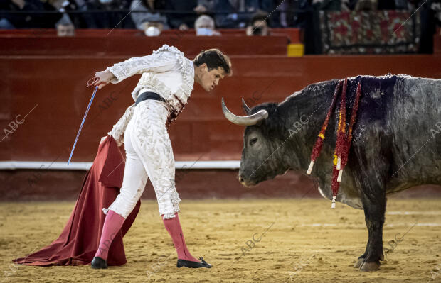 Daniel Luque en la Feria de Fallas