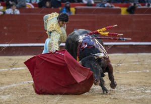 Morante de la Puebla en el cuarto de la tarde en la Feria de Fallas