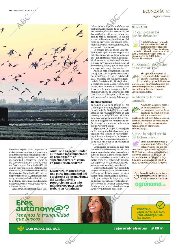 ABC SEVILLA 16-05-2022 página 67