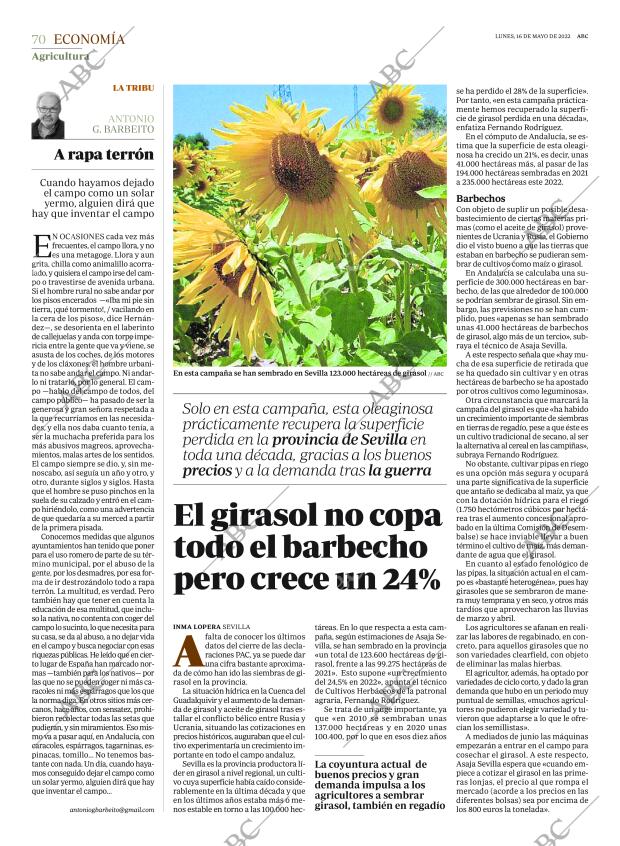 ABC SEVILLA 16-05-2022 página 70