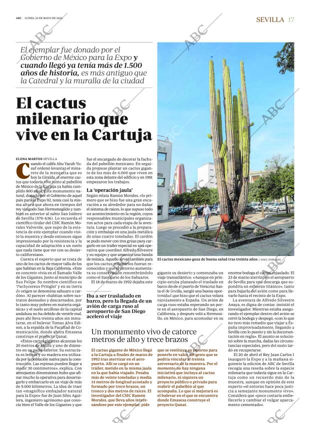 ABC SEVILLA 23-05-2022 página 17