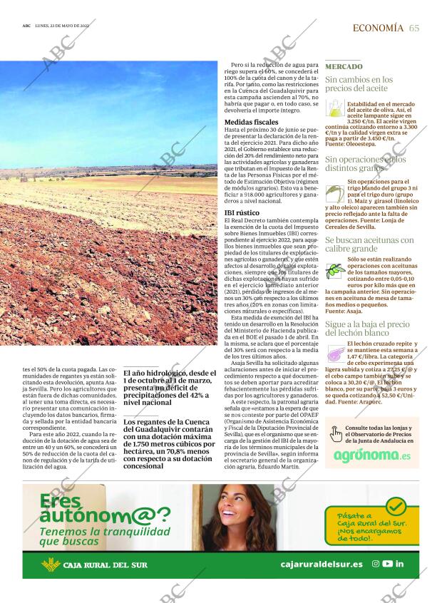 ABC SEVILLA 23-05-2022 página 65