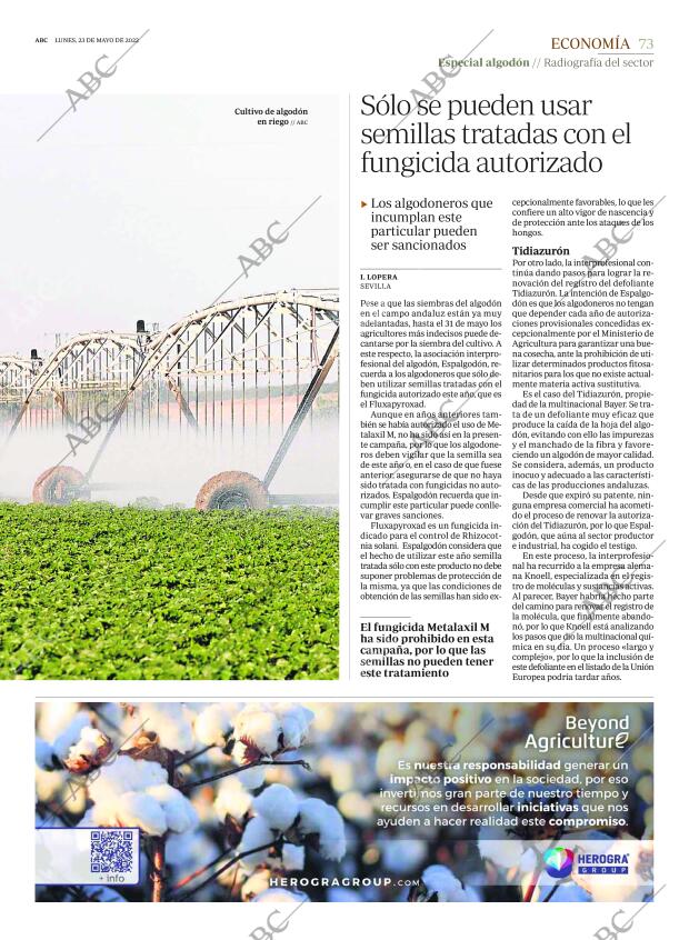 ABC SEVILLA 23-05-2022 página 73