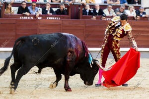 Toreros: José María Manzanares, Alejandro Marcos (Confirmación) y Tomás Rufo