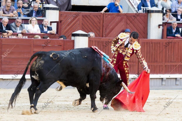Toreros: José María Manzanares, Alejandro Marcos (Confirmación) y Tomás Rufo