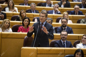 Sesión de control al presidente Pedro Sánchez en el Senado y con la primera...