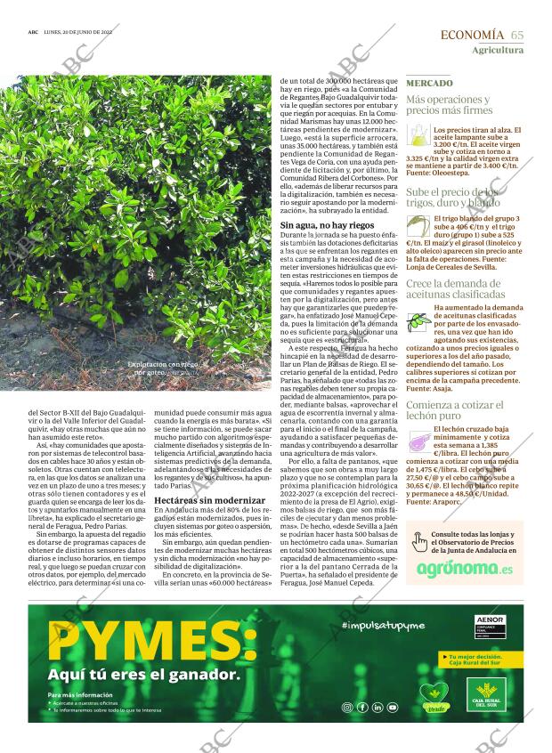 ABC SEVILLA 20-06-2022 página 65