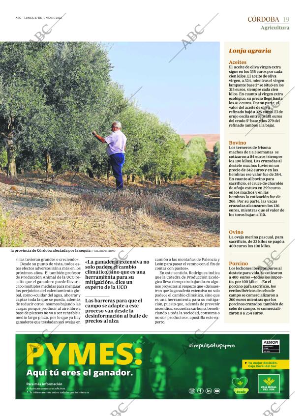 ABC CORDOBA 27-06-2022 página 19