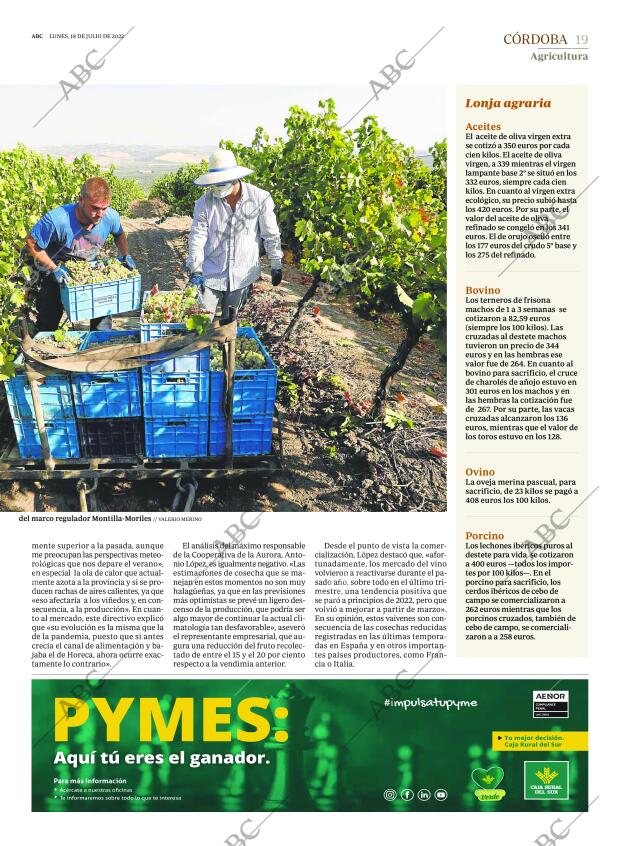 ABC CORDOBA 18-07-2022 página 19
