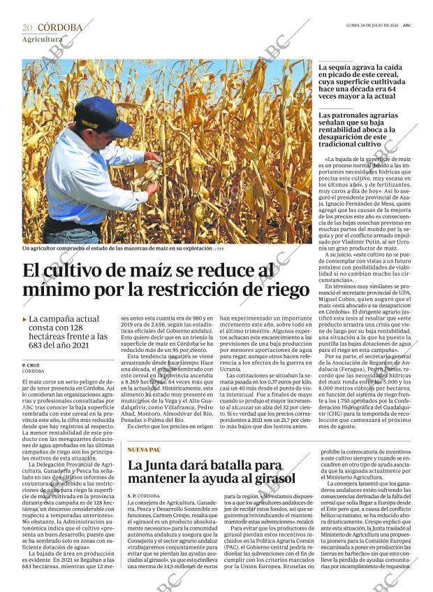 ABC CORDOBA 18-07-2022 página 20