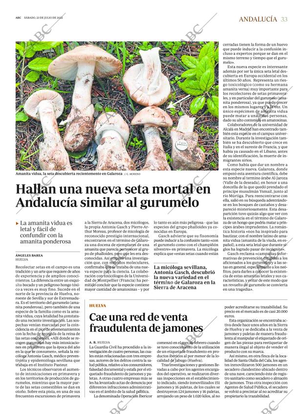 ABC SEVILLA 23-07-2022 página 33