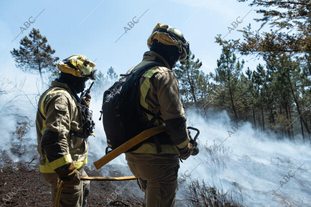 Reportaje de los brigadistas luchando contra el incendio forestal en Folgoso del...