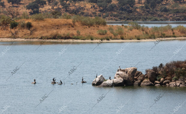 Ruta de la sequía por la provincia. Embalse de La Colada