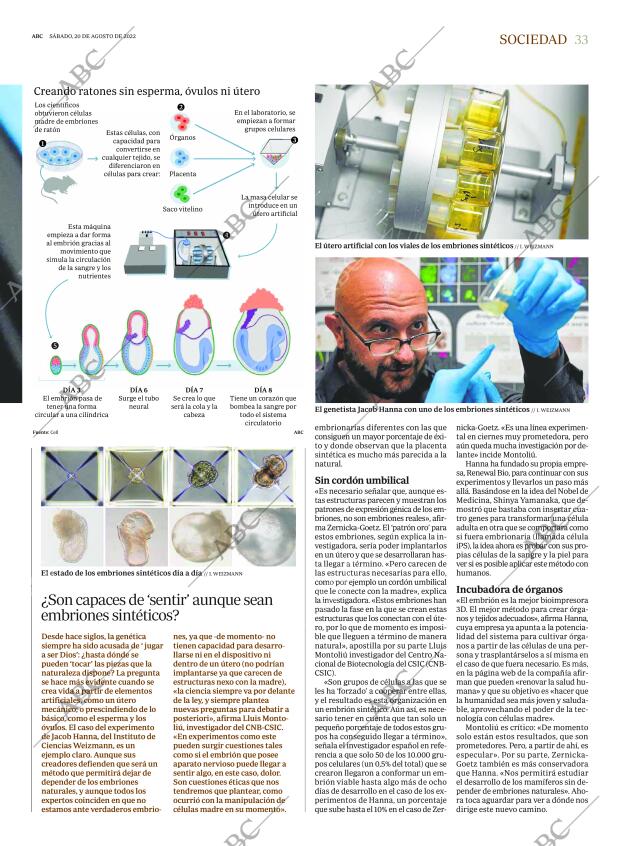 ABC MADRID 20-08-2022 página 33