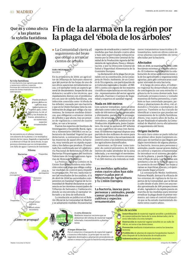 ABC MADRID 26-08-2022 página 40