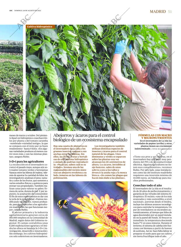 ABC MADRID 28-08-2022 página 51