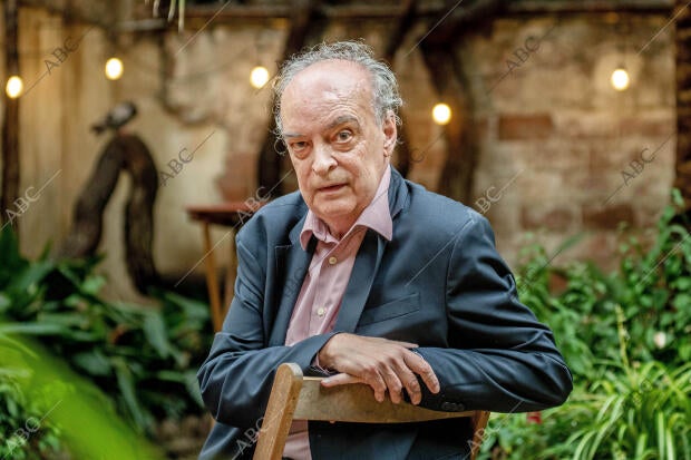 Entrevista A Enrique VilaMatas Archivo ABC