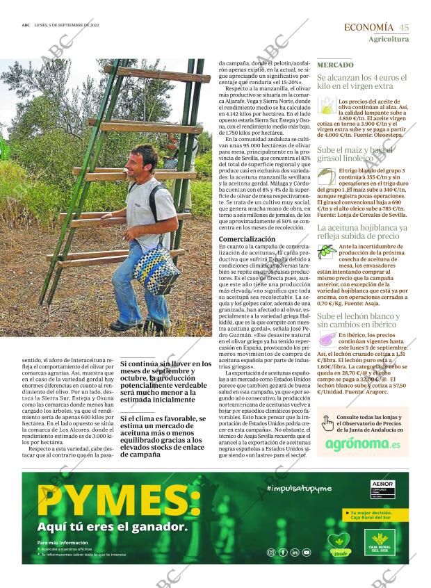 ABC SEVILLA 05-09-2022 página 45