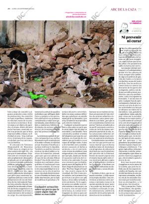 ABC SEVILLA 05-09-2022 página 77