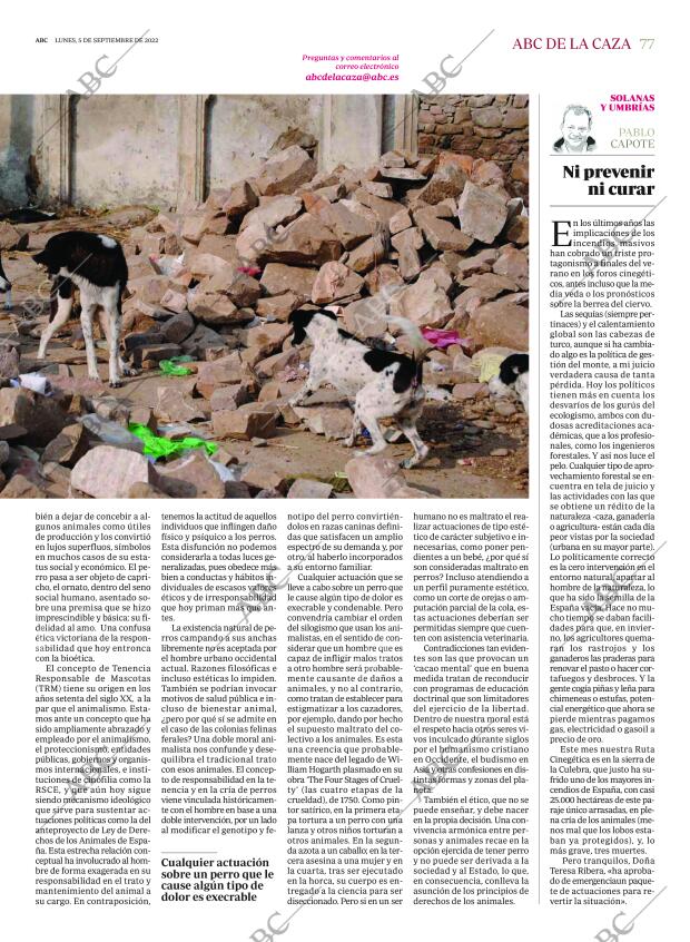 ABC SEVILLA 05-09-2022 página 77