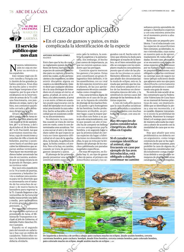 ABC SEVILLA 05-09-2022 página 78