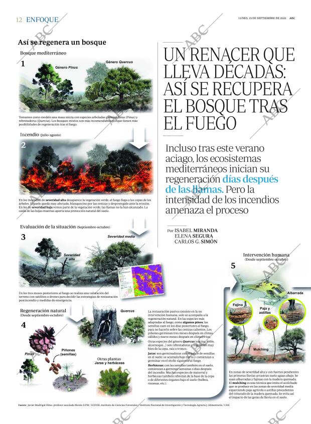 ABC MADRID 19-09-2022 página 12