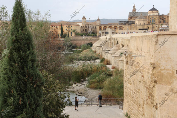 Puente romano, puente Miraflores y puente de San Rafael