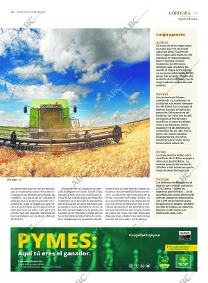 ABC CORDOBA 31-10-2022 página 19