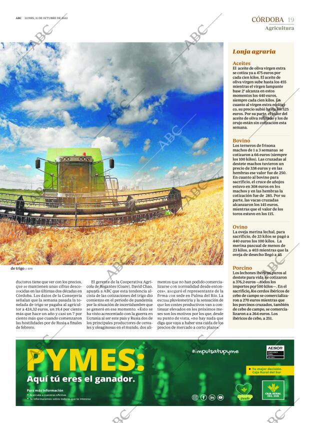 ABC CORDOBA 31-10-2022 página 19
